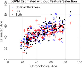 Image for The Effect of Aging on Cerebral Blood Flow and Cortical Thickness with Application to Age Prediction