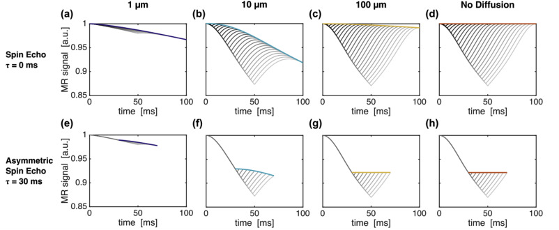 Image for Gas- free Calibrated fMRI with a Correction for Vessel-Size Sensitivity