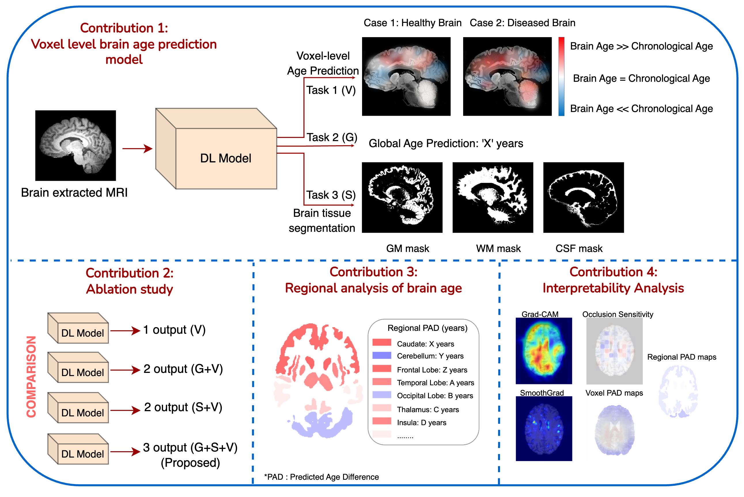 Image for Voxel-Level Approach to Brain Age Prediction: A Method to Assess Regional Brain Aging