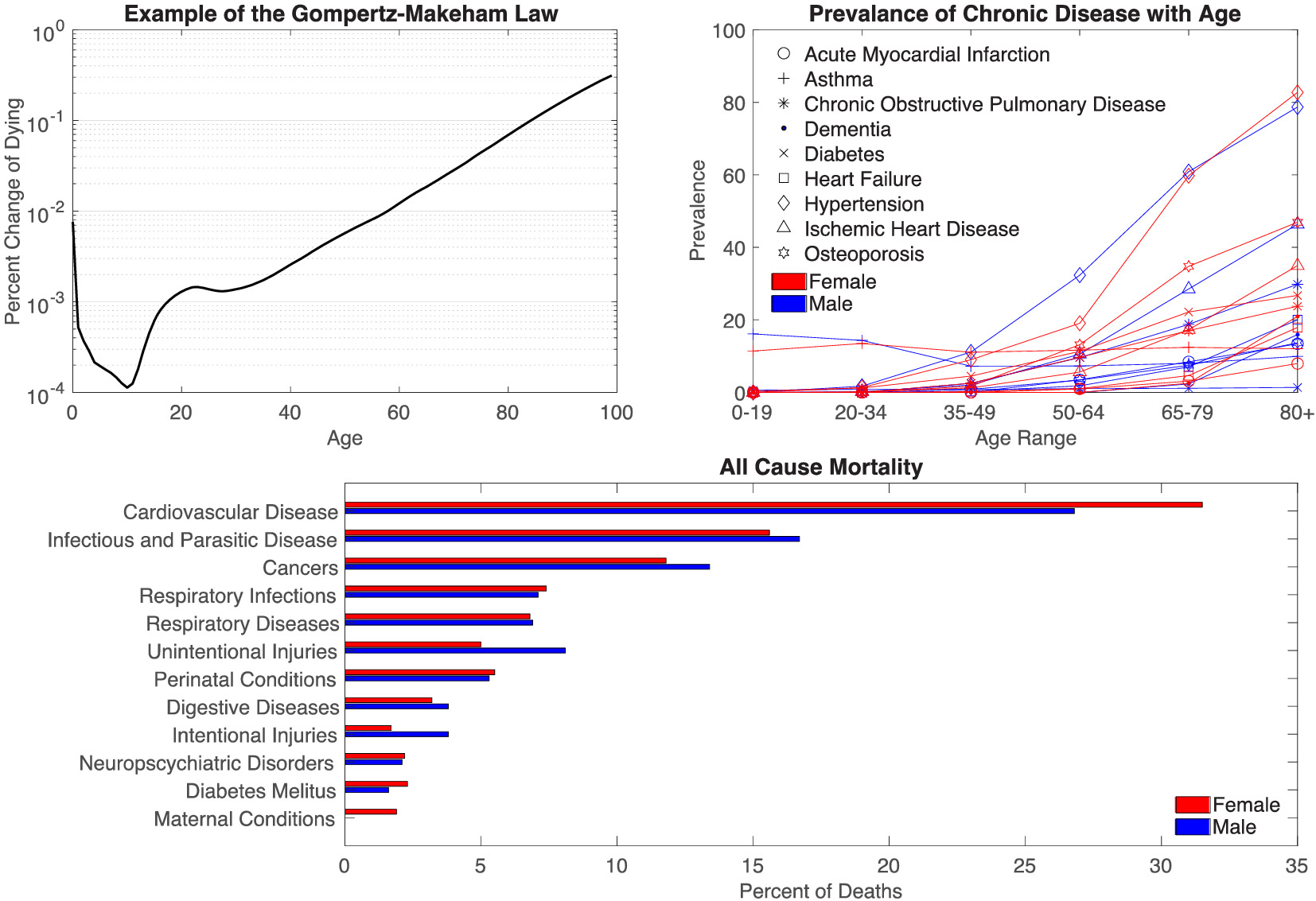 Image for Magnetic Resonance Imaging of Healthy Brain Aging: A Review