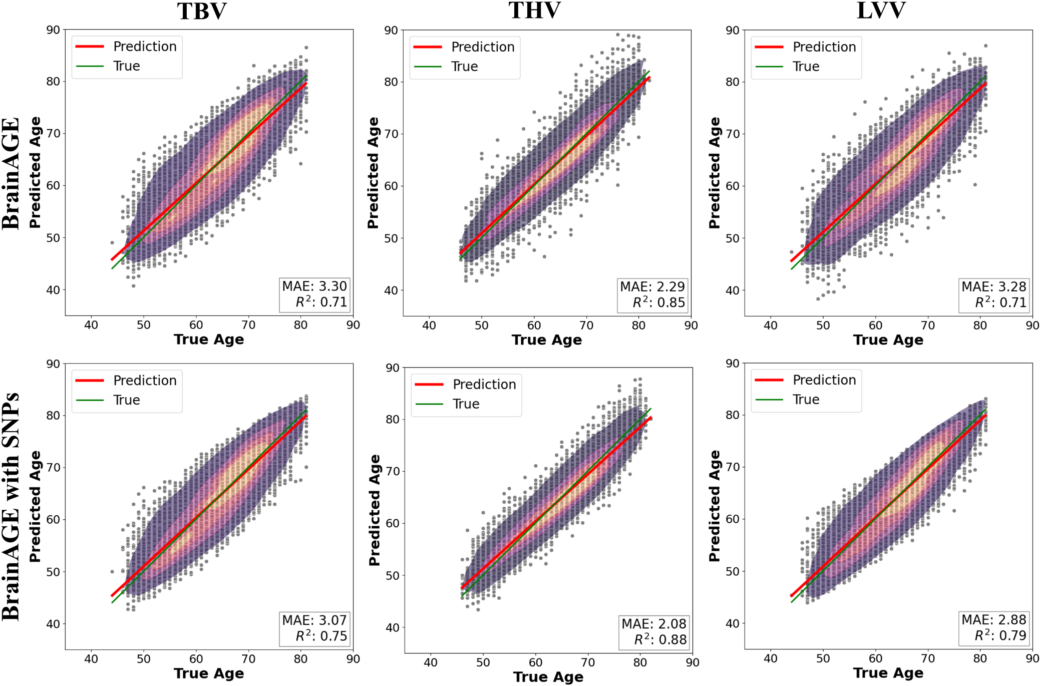Image for Integration of Genetic Information to Improve Brain Age Gap Estimation Models in the UK Biobank