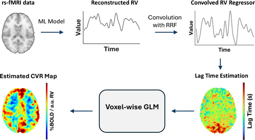 Image for Calibration-Free Estimation of Cerebrovascular Reactivity From Resting-State BOLD fMRI Using Reconstructed Respiratory Fluctuations