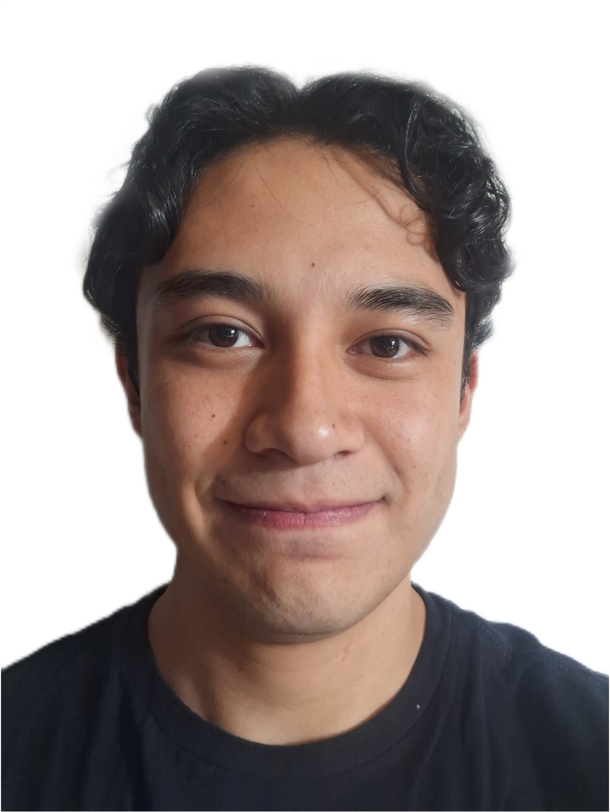 Ricardo Image